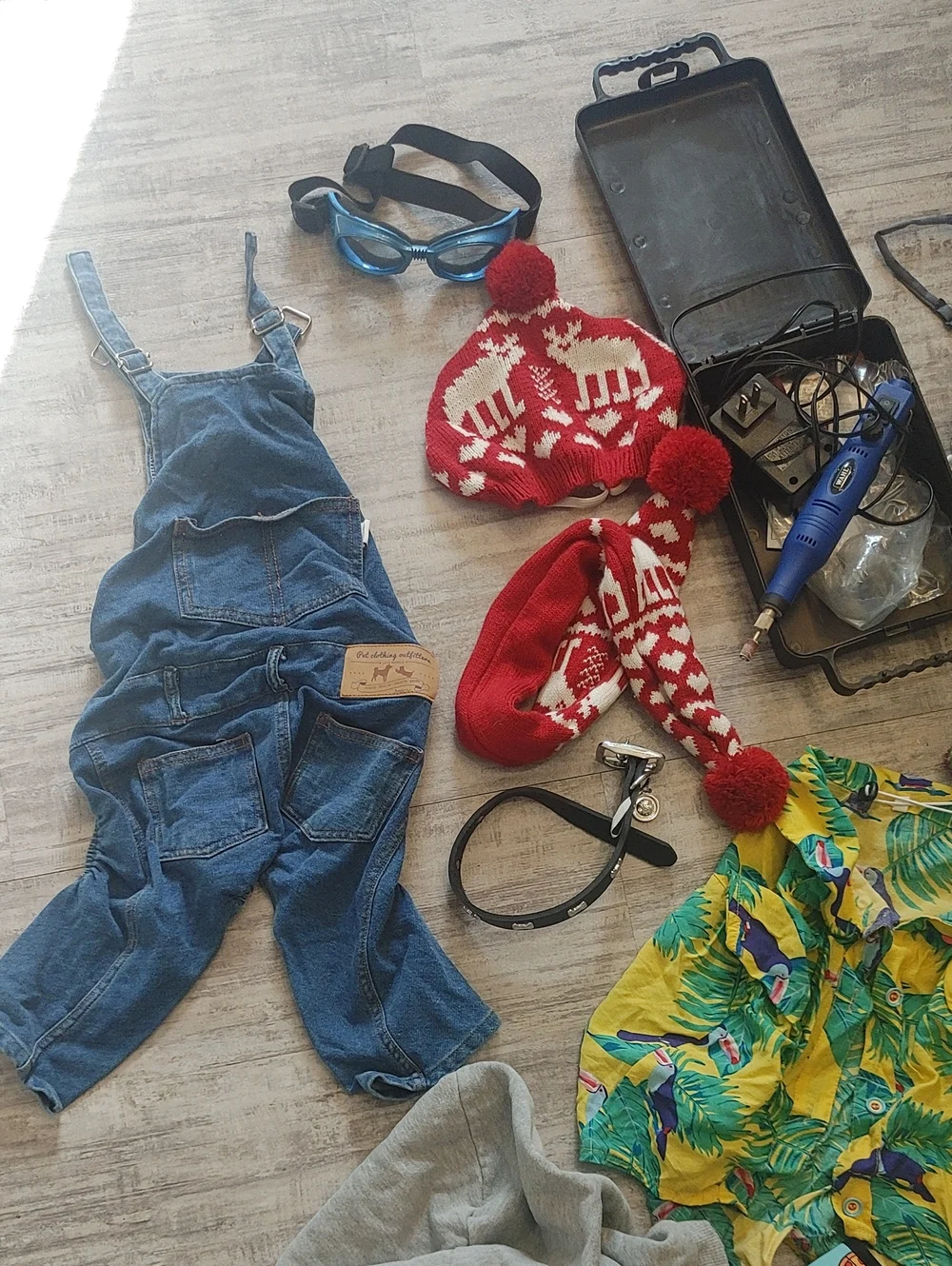 HUGE FRENCHIE LOT L/XL French Bulldog Clothes & Accessories